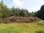 Biomasa pozyskana w rezerwacie w ramach prowadzonych działań ochronnych/fot. S. Bełko