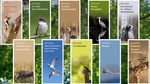 Broszury to źródło informacji o wybranych rezerwatach przyrody
