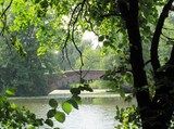 Jezioro Wilanowskie - Most Rzymski