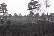 Strażacy podczas dogaszania pożaru / fot. Marcin Kalbarczyk